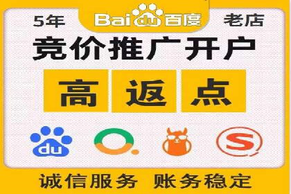 竞价广告端口开户的典型案例剖析